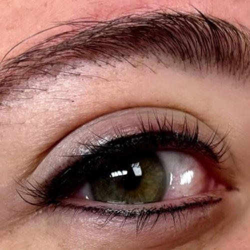 Permanent makeup, powder brows, lip blushing, fine line tattoos, tattoo flash, private studio, women owned, illustrative, female artist, female owned.