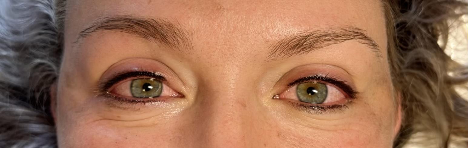 Permanent makeup, powder brows, lip blushing, fine line tattoos, tattoo flash, private studio, women owned, illustrative, female artist, female owned.