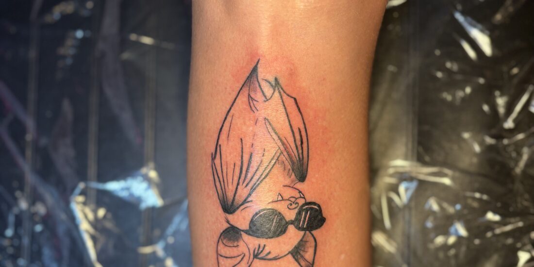 Permanent makeup, powder brows, lip blushing, fine line tattoos, tattoo flash, private studio, women owned, illustrative, female artist, female owned.