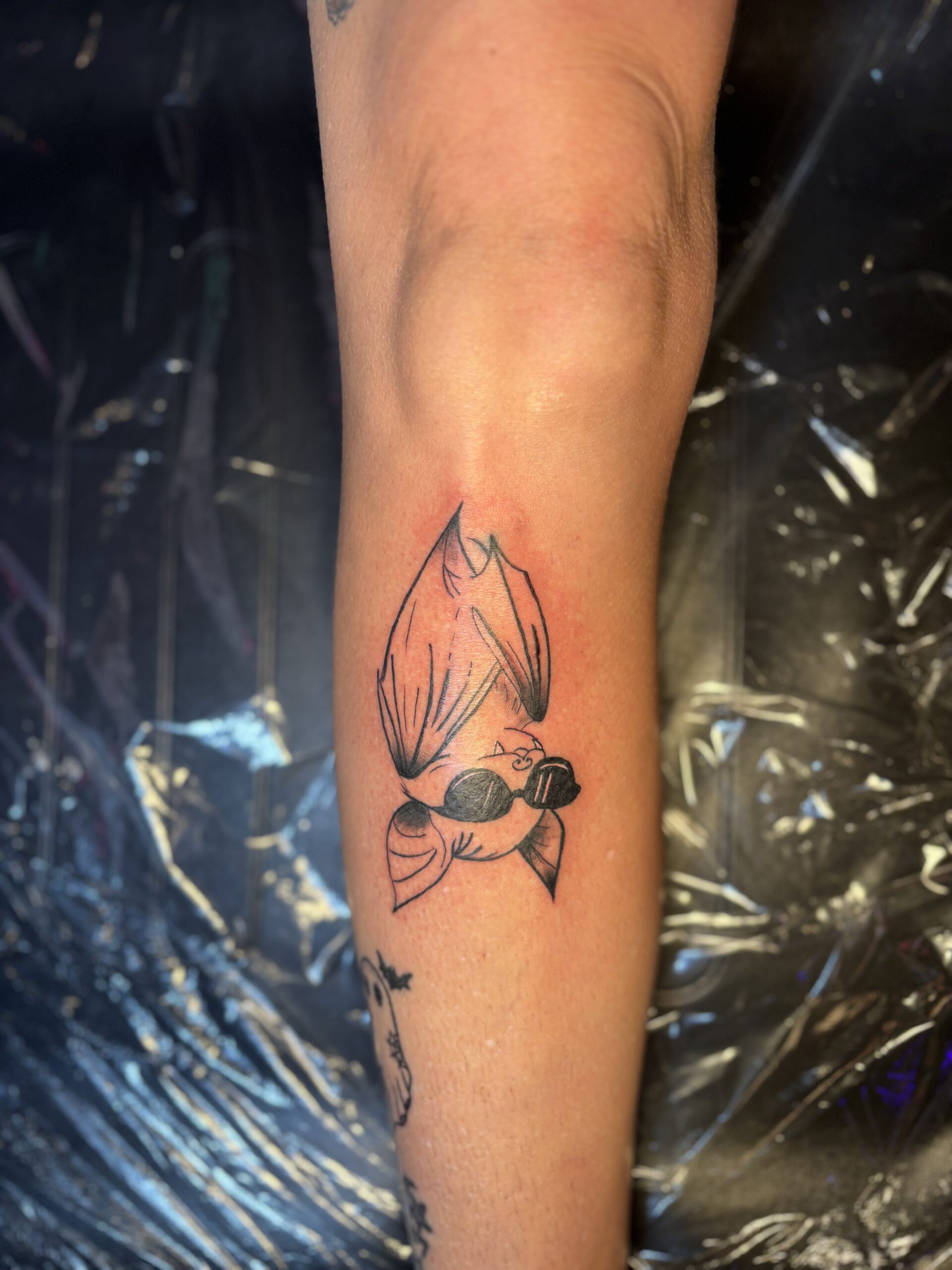 Permanent makeup, powder brows, lip blushing, fine line tattoos, tattoo flash, private studio, women owned, illustrative, female artist, female owned.